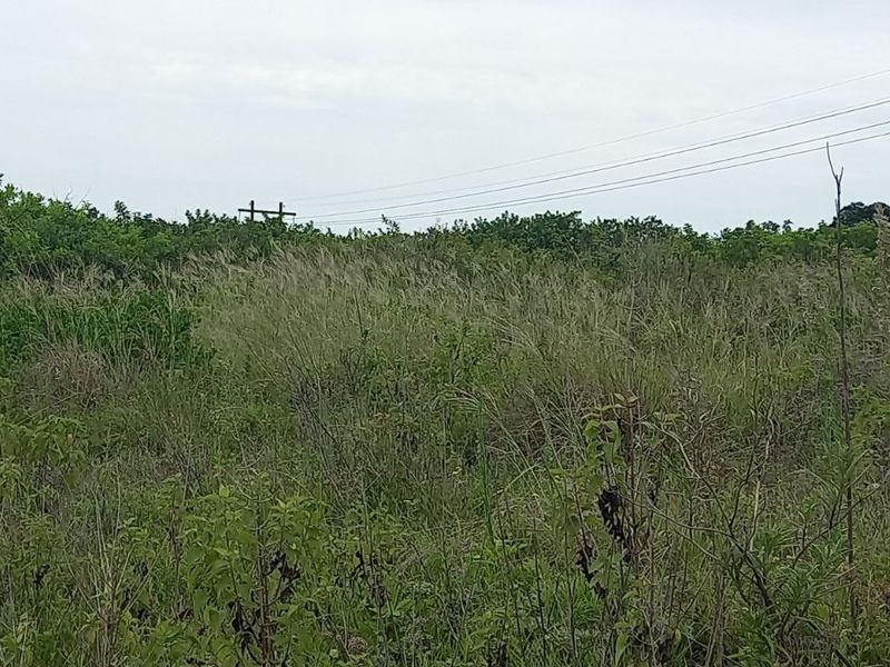 Apartment For Sale in Ballitoville - Photo 7