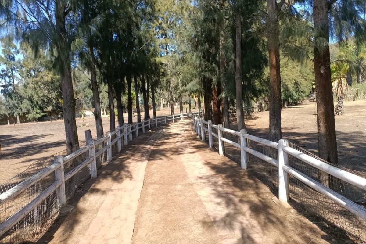 House For Sale in Kalbaskraal - Photo 2