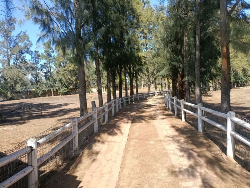 House For Sale in Kalbaskraal - Photo 3