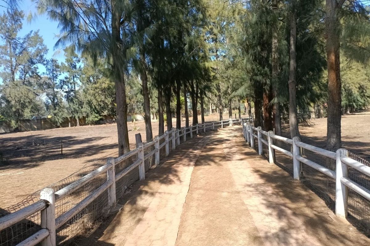 House For Sale in Kalbaskraal - Photo 3