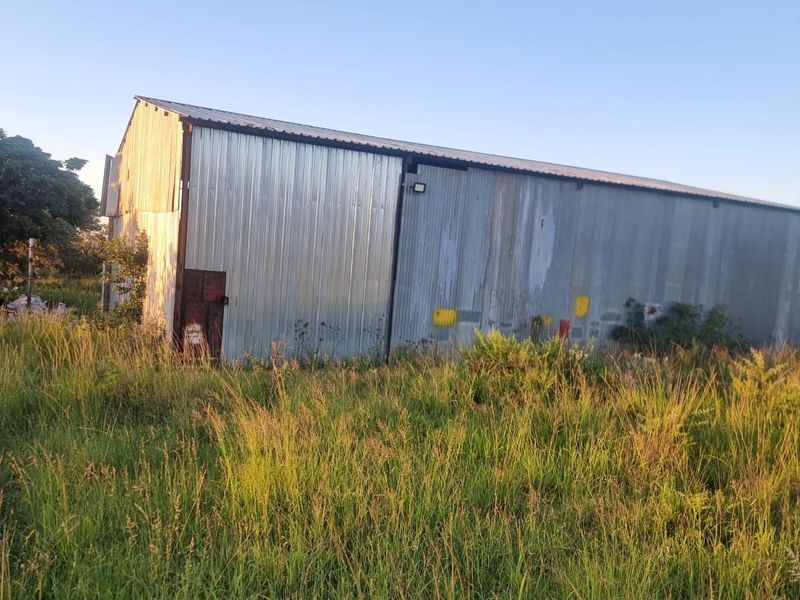 Farm For Sale in Palmietfontein AH - Photo 5