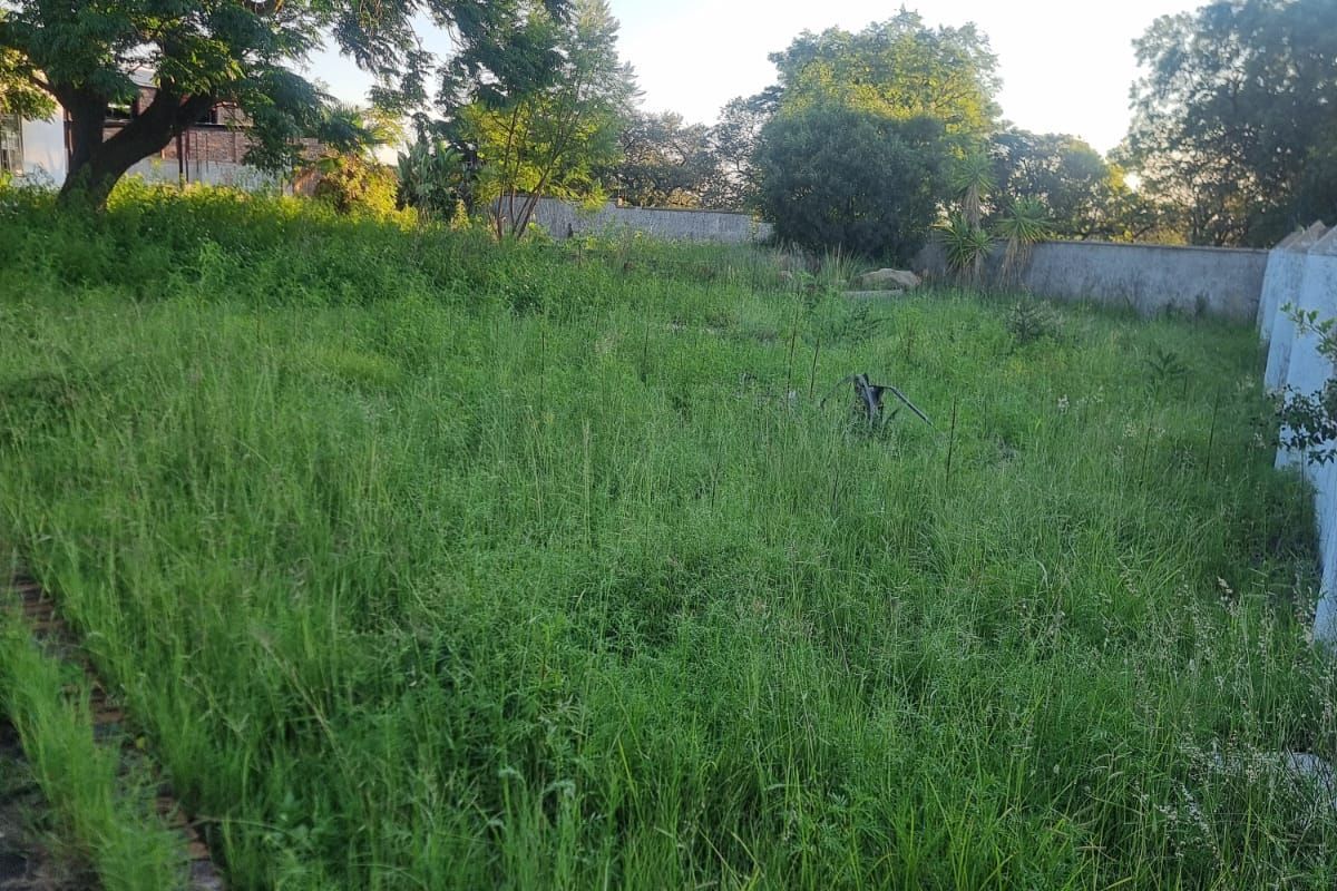 Farm For Sale in Palmietfontein AH - Photo 2