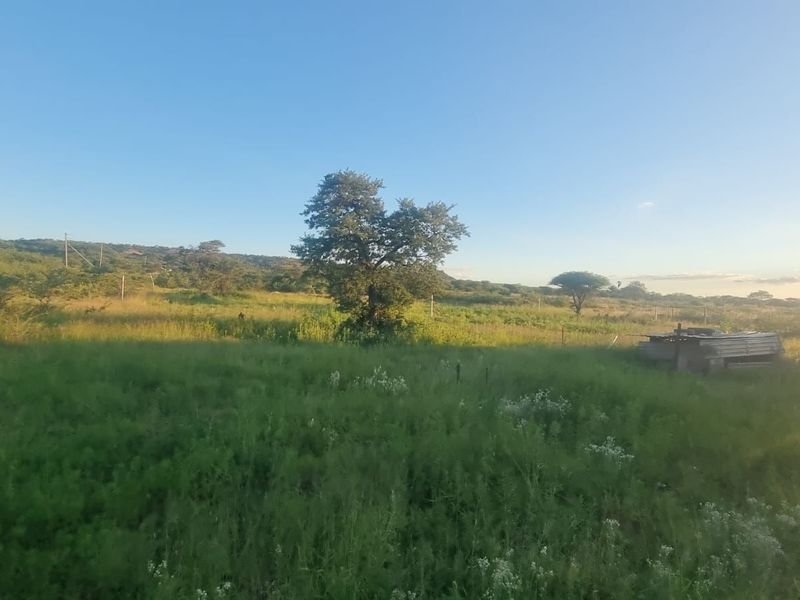 Farm For Sale in Palmietfontein AH - Photo 6