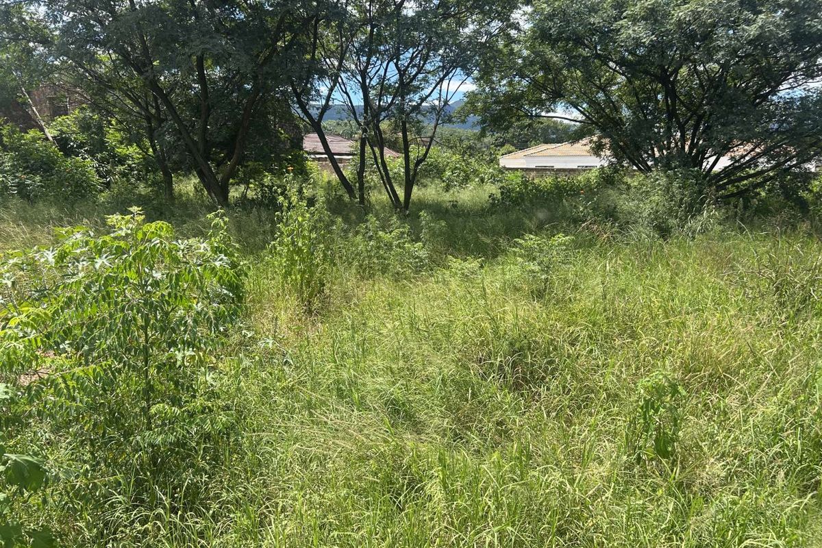 Vacant Land Residential For Sale in Louis Trichardt Central - Photo 2