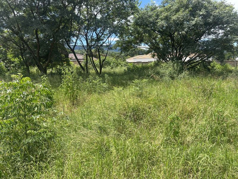 Vacant Land Residential For Sale in Louis Trichardt Central - Photo 4
