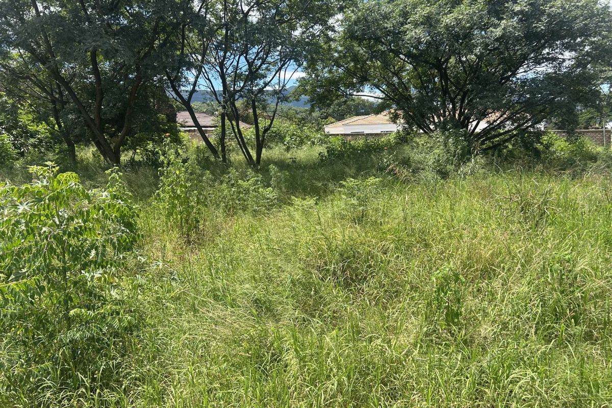 Vacant Land Residential For Sale in Louis Trichardt Central - Photo 4
