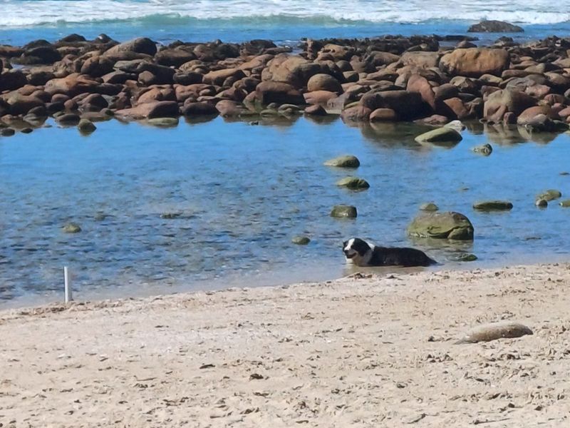 Vacant Land Residential For Sale in St Francis On Sea Phase I I - Photo 6