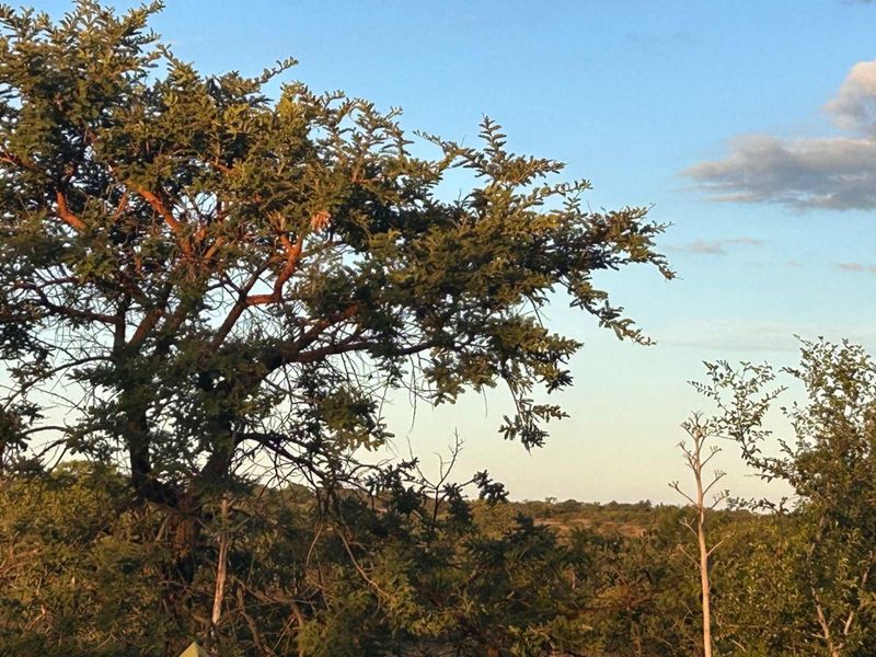 Farm For Sale in Myngenoegen AH - Photo 5