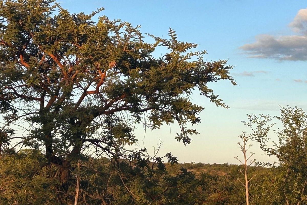 Farm For Sale in Myngenoegen AH - Photo 5