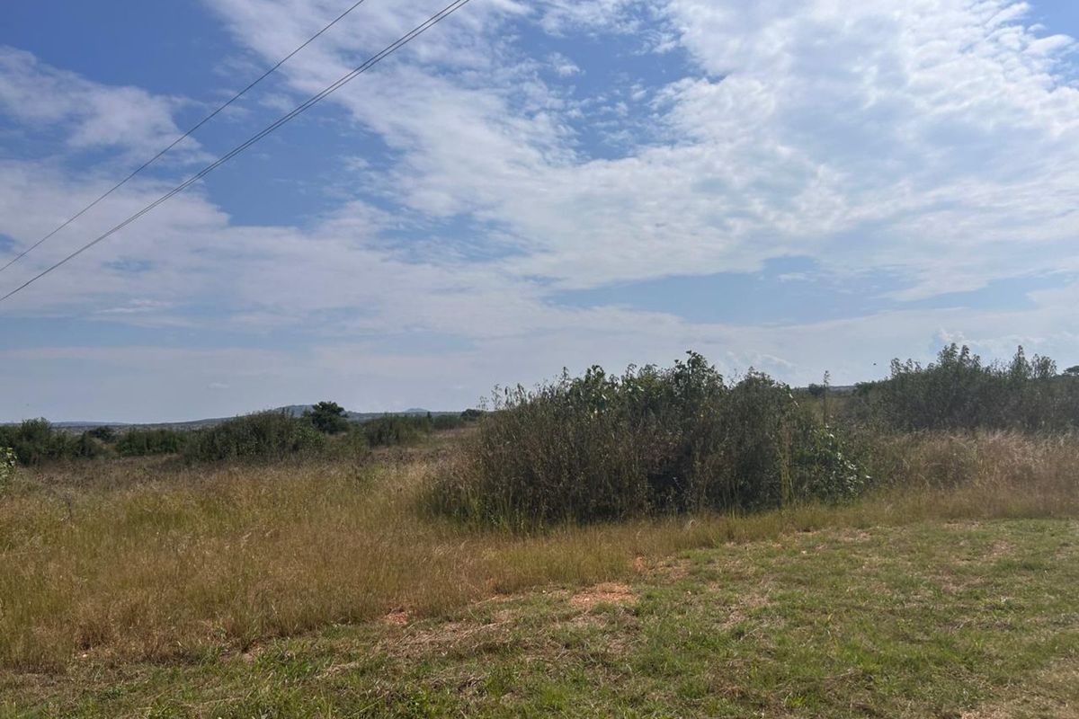 Farm For Sale in Myngenoegen AH - Photo 4