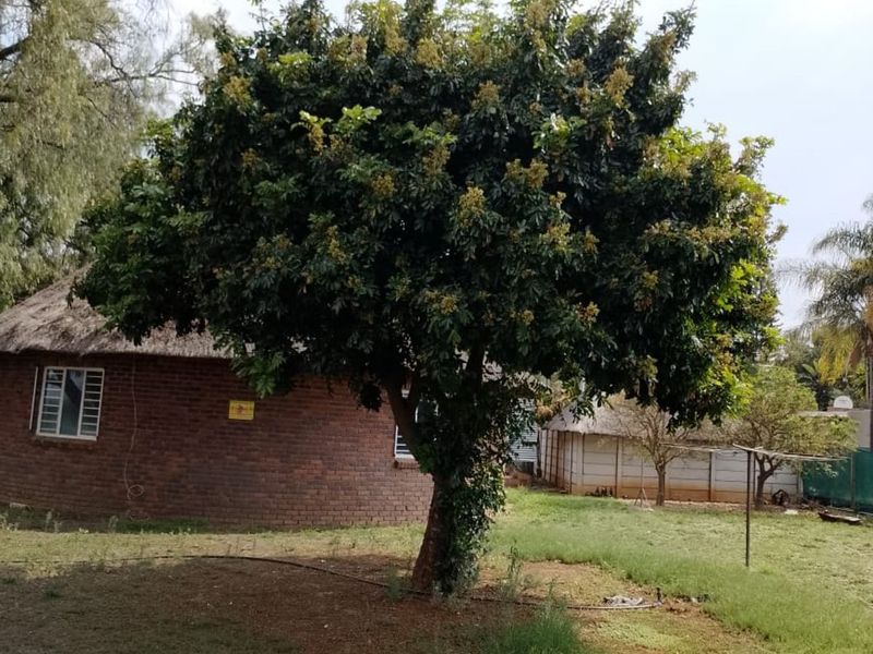 Farm For Sale in Mooifontein AH - Photo 3