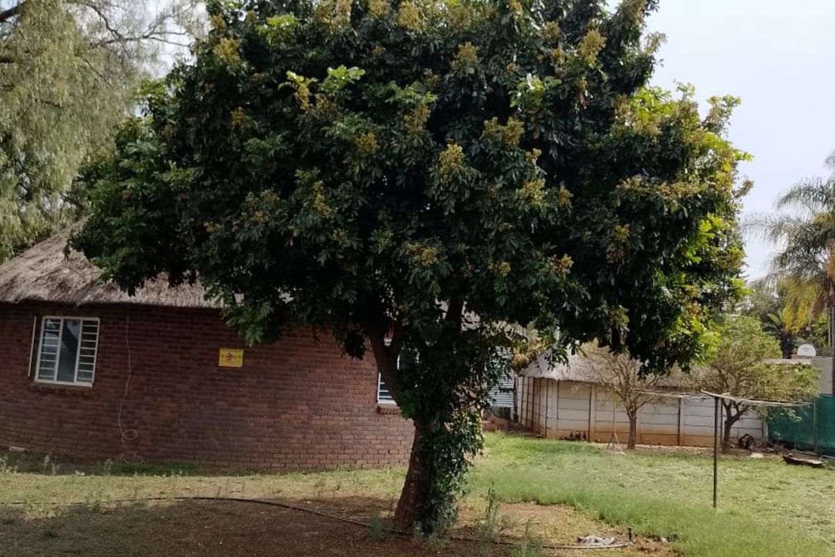 Farm For Sale in Mooifontein AH - Photo 3