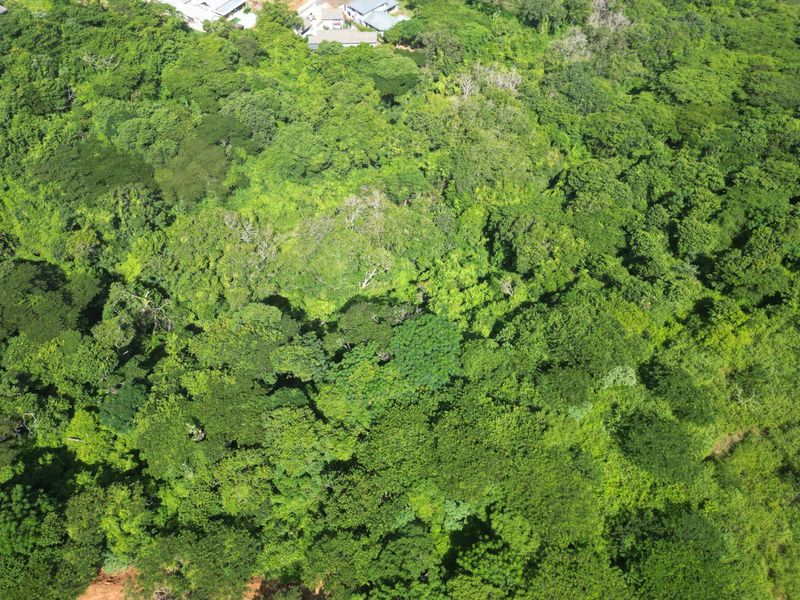 Vacant Land Residential For Sale in Seaward Estates - Photo 6