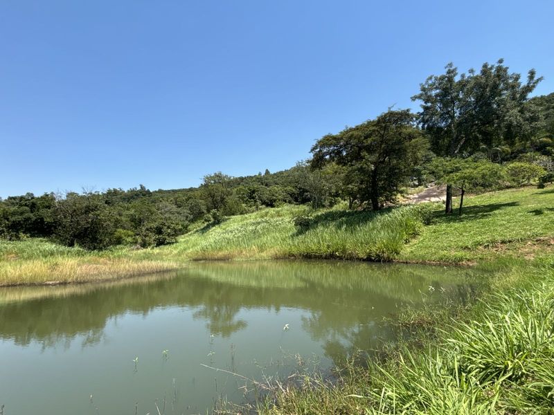 Farm For Sale in Broederstroomdrift AH - Photo 5