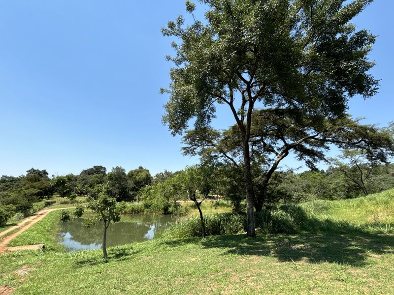 Farm For Sale in Broederstroomdrift AH - Photo 8