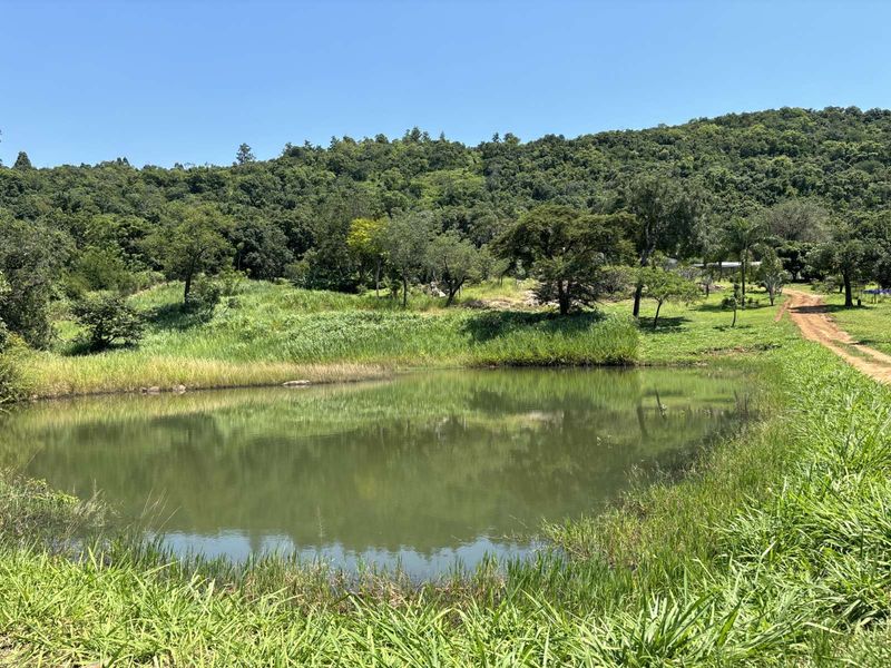 Farm For Sale in Broederstroomdrift AH - Photo 7