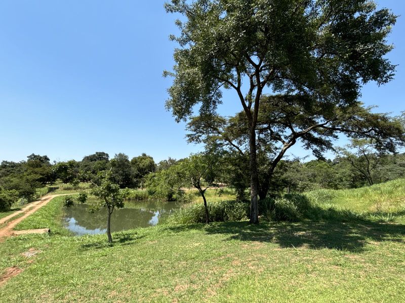 Farm For Sale in Broederstroomdrift AH - Photo 6