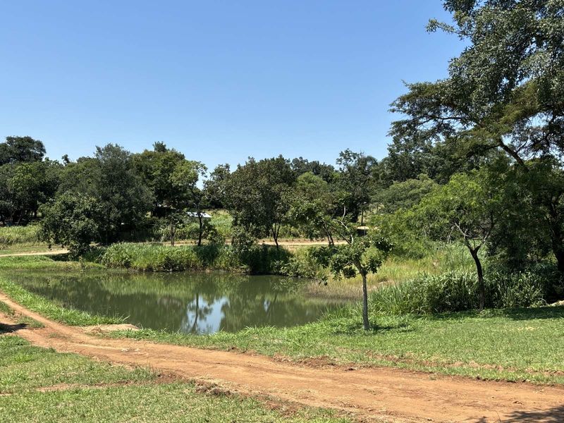 Farm For Sale in Broederstroomdrift AH - Photo 4