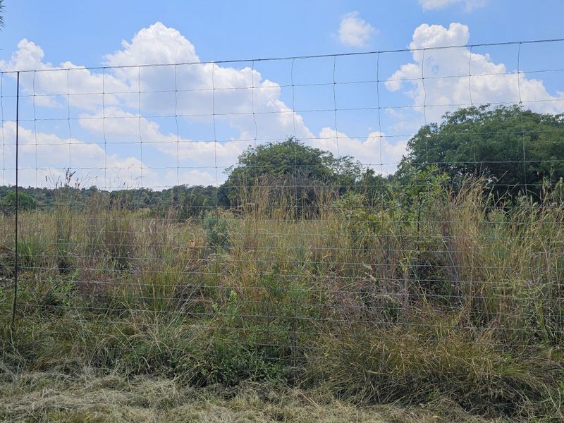 Vacant Land Residential For Sale in The Hills Game Reserve Estate - Photo 10