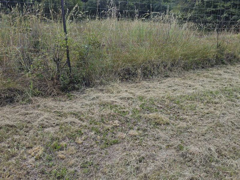 Vacant Land Residential For Sale in The Hills Game Reserve Estate - Photo 8