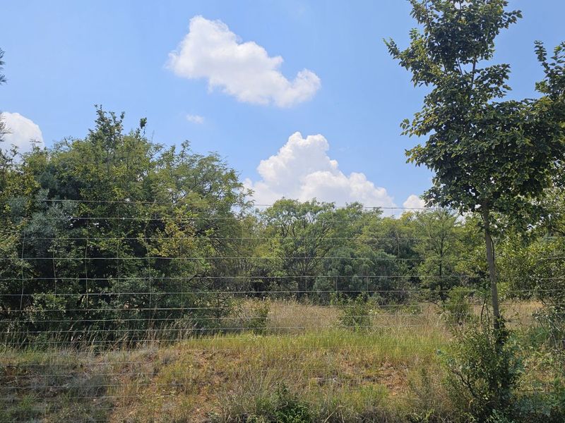 Vacant Land Residential For Sale in The Hills Game Reserve Estate - Photo 7