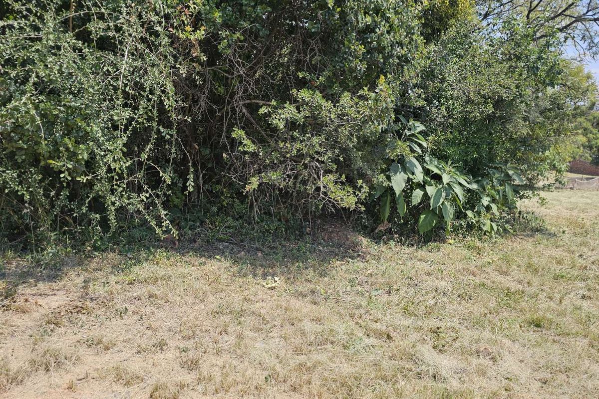 Vacant Land Residential For Sale in The Hills Game Reserve Estate - Photo 2