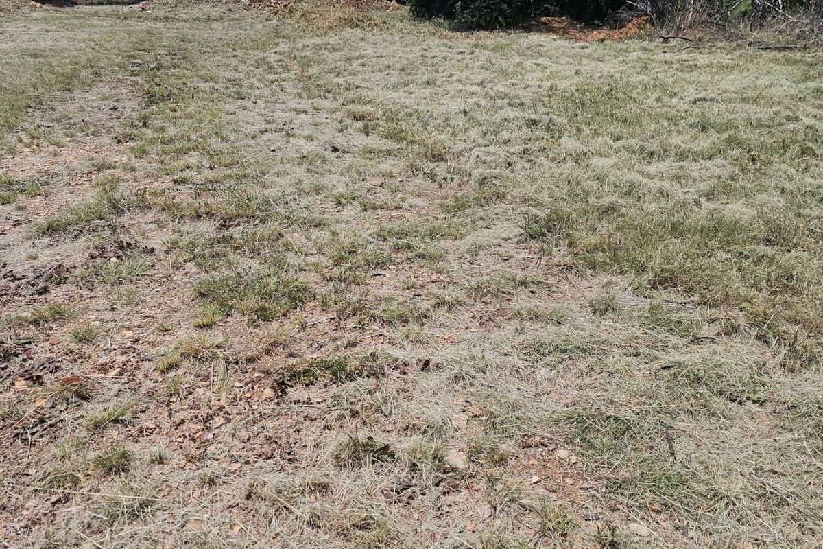 Vacant Land Residential For Sale in The Hills Game Reserve Estate - Photo 3