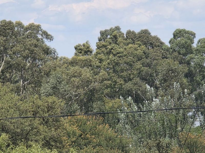 Vacant Land Residential For Sale in Vaal Marina Central - Photo 2