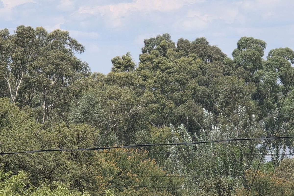 Vacant Land Residential For Sale in Vaal Marina Central - Photo 2