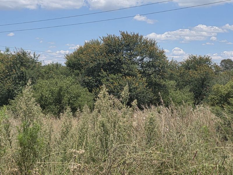 Vacant Land Residential For Sale in Vaal Marina Central - Photo 5