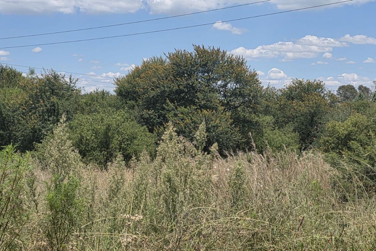 Vacant Land Residential For Sale in Vaal Marina Central - Photo 5