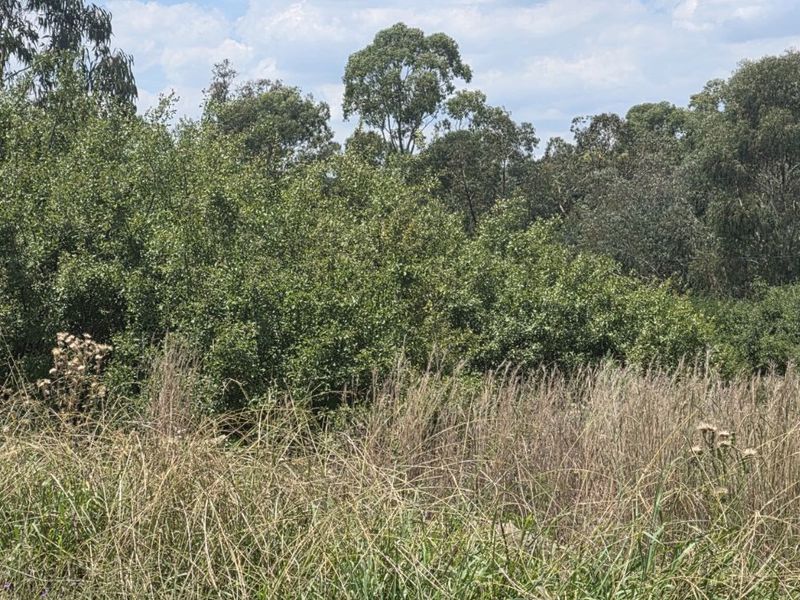 Vacant Land Residential For Sale in Vaal Marina Central - Photo 4