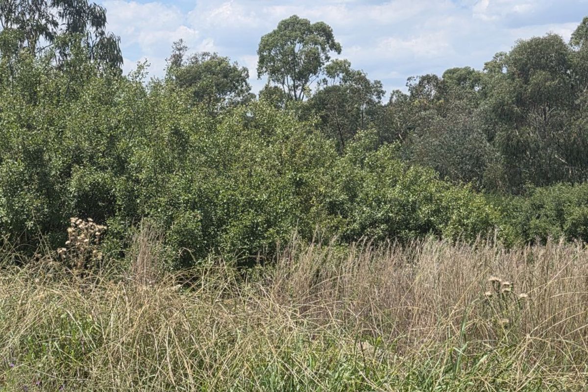 Vacant Land Residential For Sale in Vaal Marina Central - Photo 4