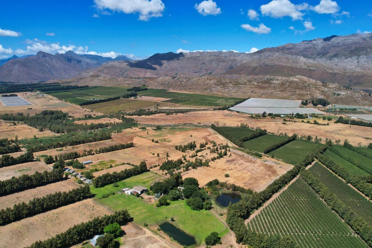 Farm For Sale in Wolseley Central - Photo 3