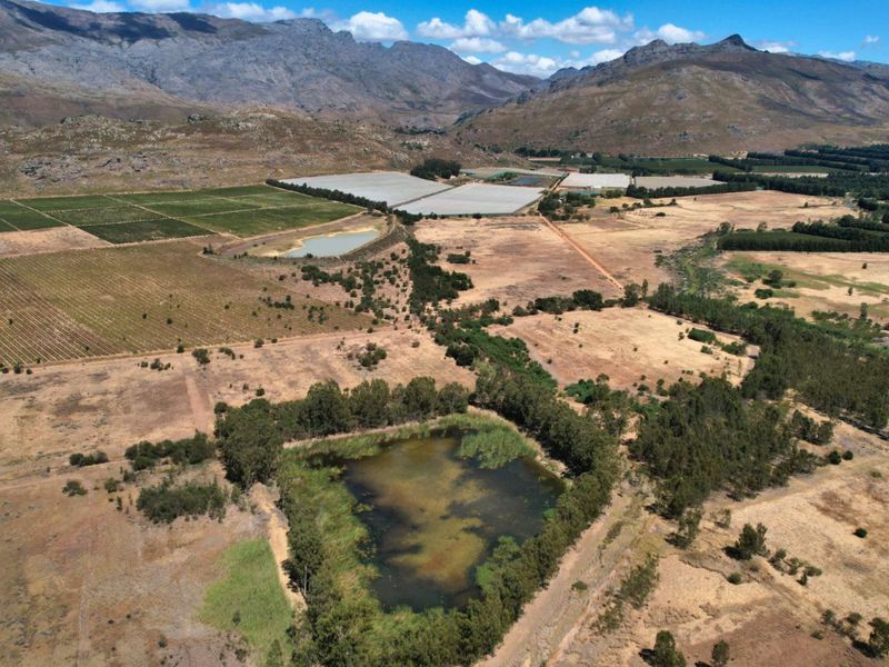 Farm For Sale in Wolseley Central - Photo 4