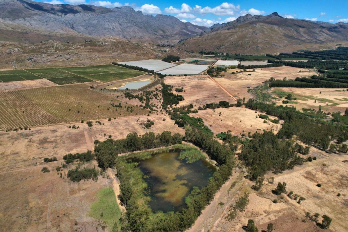 Farm For Sale in Wolseley Central - Photo 4