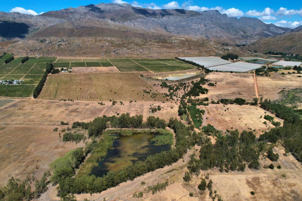 Farm For Sale in Wolseley Central - Photo 3