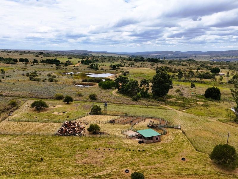 Farm For Sale in Mookgopong Rural - Photo 3