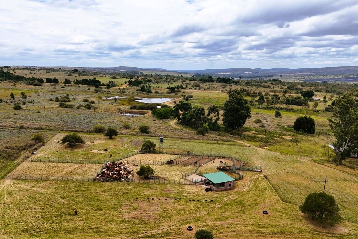 Farm For Sale in Mookgopong Rural - Photo 3