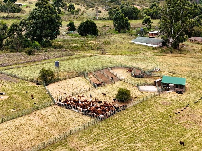 Farm For Sale in Mookgopong Rural - Photo 5