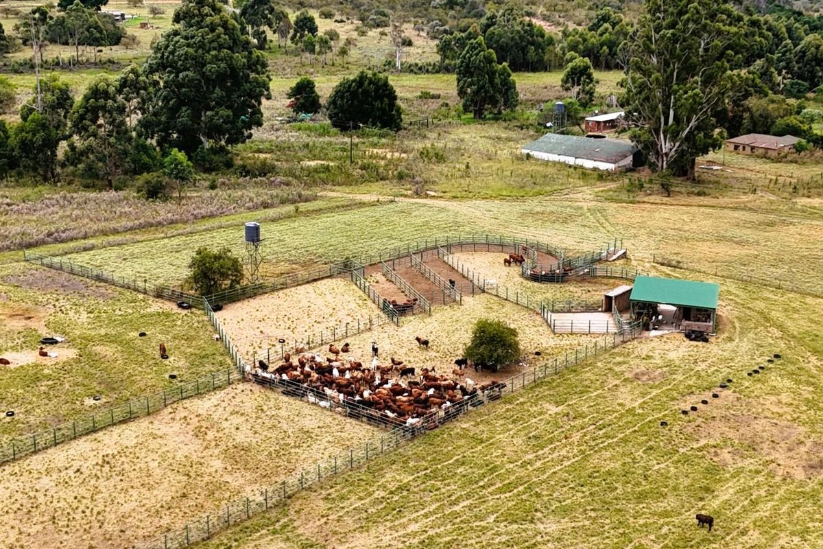 Farm For Sale in Mookgopong Rural - Photo 5