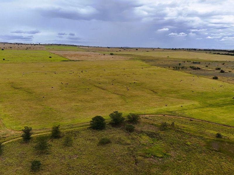 Farm For Sale in Mookgopong Rural - Photo 4