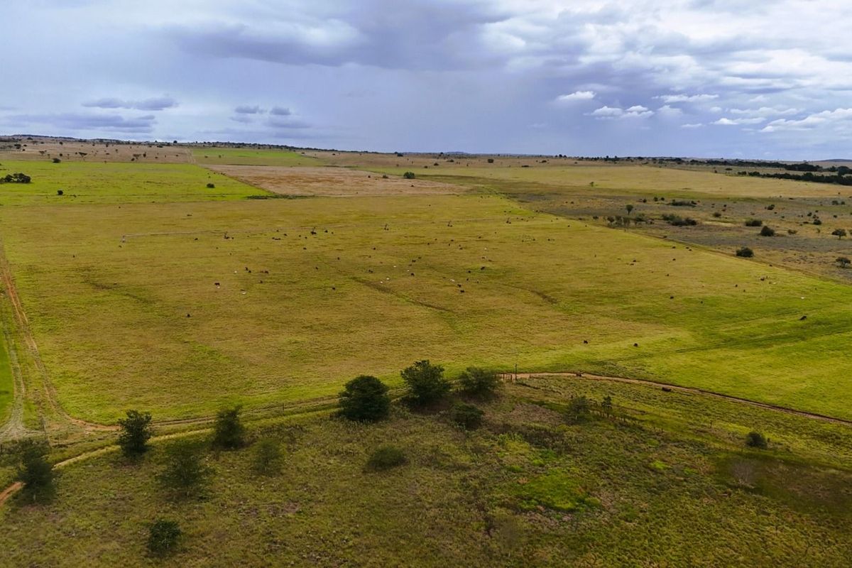 Farm For Sale in Mookgopong Rural - Photo 4