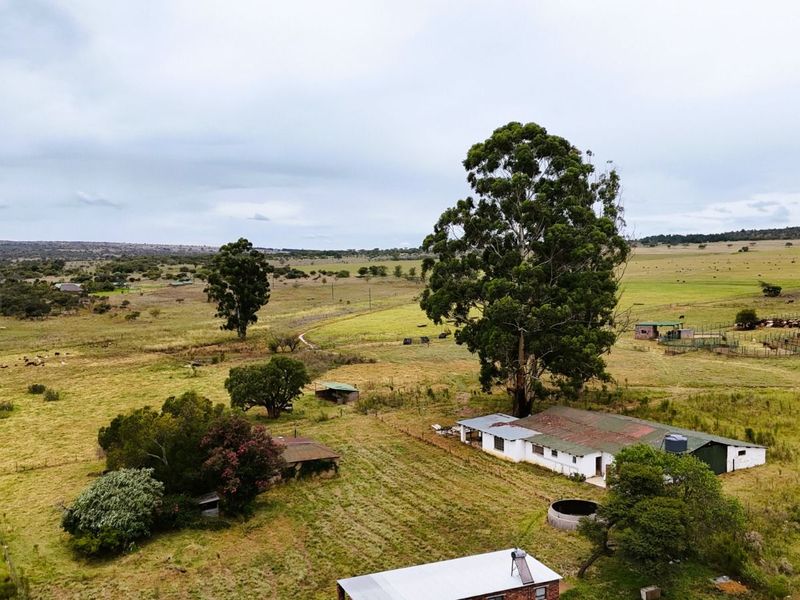 Farm For Sale in Mookgopong Rural - Photo 7