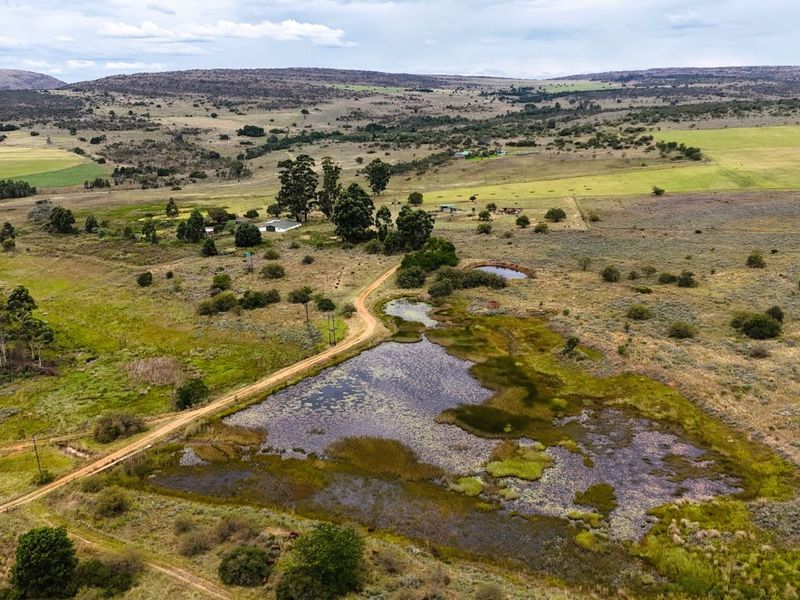 Farm For Sale in Mookgopong Rural - Photo 6