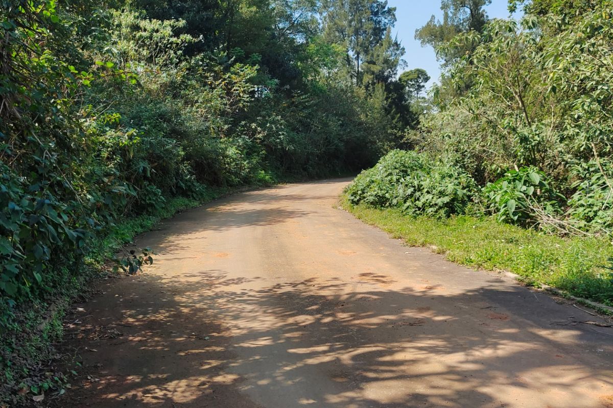 Vacant Land Residential For Sale in Assagay - Photo 4