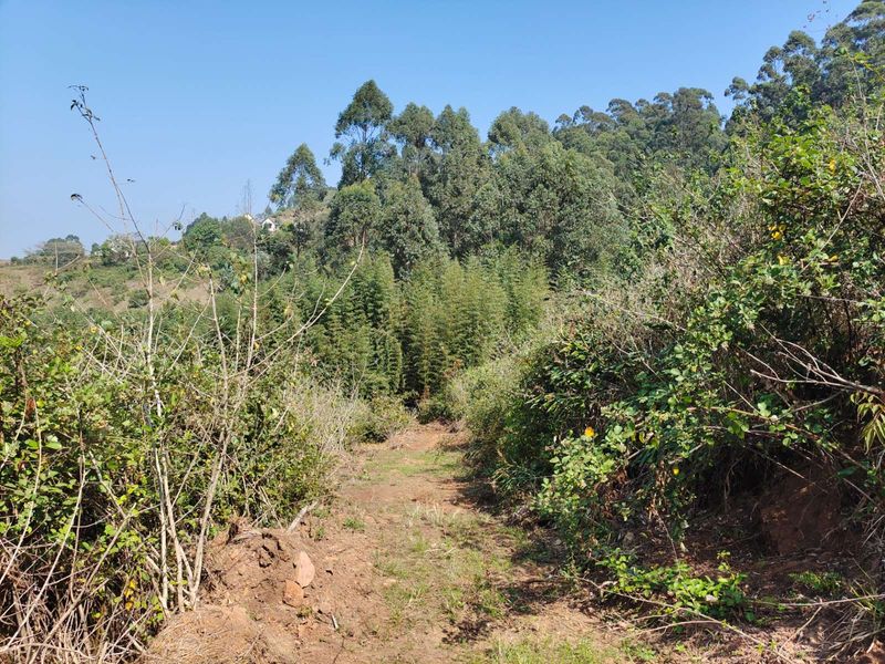 Vacant Land Residential For Sale in Assagay - Photo 3