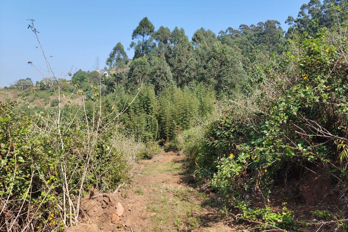 Vacant Land Residential For Sale in Assagay - Photo 3