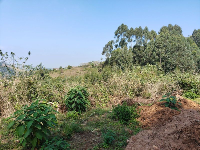 Vacant Land Residential For Sale in Assagay - Photo 9