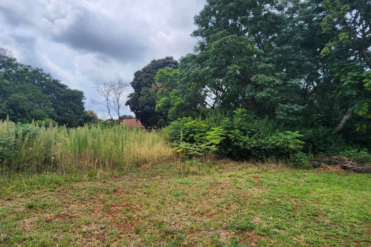 Vacant Land Residential For Sale in Cullinan Central - Photo 4